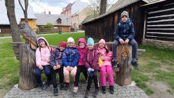 IMG_20240416_120614