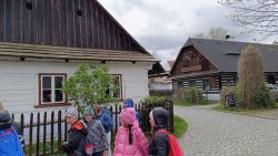 IMG_20240416_131126