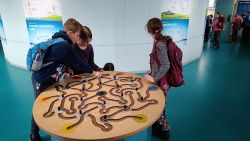 IMG_20240416_145241