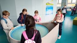 IMG_20240416_145253