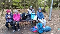 IMG_20240417_144627