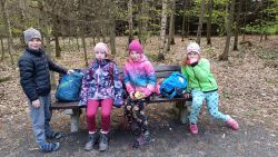 IMG_20240417_144639
