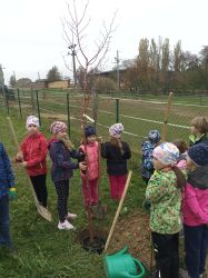 IMG_20241025_105358