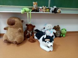 IMG-20250529-WA0007