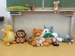 IMG-20250529-WA0012