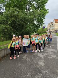 IMG_20250606_075936