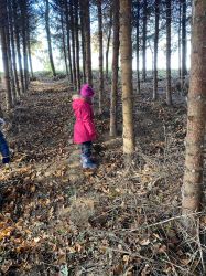 IMG-20241212-WA0051
