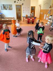 IMG-20241111-WA0030