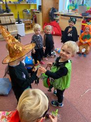 IMG-20241111-WA0031