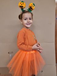 IMG-20241111-WA0049