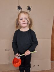 IMG-20241111-WA0053