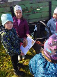 IMG-20250330-WA0007